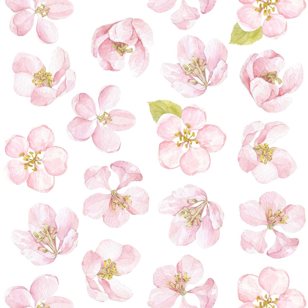 Tapeta s kvetmi, fototapeta s kvetinami: jarné veľké kvety jablone v pastelových farbách